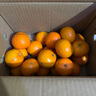 京喜加【双十一抢鲜】冰糖橙甜橙纯甜无酸水果 当季新鲜手剥橙现摘现发 带箱2.5斤 实拍图