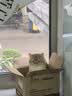 麦富迪猫粮营养pro双鲜肉乳鸽鸡肉全期免疫猫粮成幼猫无谷天然粮 【双鲜肉+姬松茸】助力免疫好吸收200g试吃 实拍图