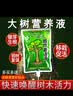 智绿树木营养液吊针液大树输液袋桂花树果树移栽生根剂激活液通用型 1袋+输液管+钻头 实拍图