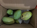 粤迎金煌芒芒果当季青皮黄皮大芒果新鲜水果甜心芒果广西整箱盒送礼 5斤优选果【香甜爆汁】净4.5斤 实拍图