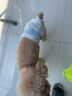 派乐特 宠物猫咪母狗狗生理裤尿不湿泰迪卫生巾姨妈月经裤纸尿裤M10片 实拍图