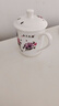 潇毅艾 景德镇陶瓷茶杯带盖家用杯喝茶杯青花瓷器办公杯子 国色天香 实拍图