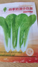 花语笙默四季播种蔬菜种子家庭种菜盆栽田园地栽菜种易种植易生长瓜果菜籽 奶油小白菜种子（约1500粒） 原厂封装1袋 实拍图