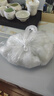 荣花施 填充棉手工diy抱枕芯玩偶娃娃靠垫pp棉花填充物蓬松纤维高弹丝棉 pp填充棉【100g】 实拍图