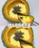 京鲜匠【JD快递】（JD金榜TOP1）山东贝贝南瓜 栗香小南瓜粉糯 产地直发 JD快递 实惠装 净 1斤 （1-2个） 实拍图