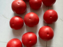金百粟【顺丰】陕西泾阳普罗旺斯西红柿生吃沙瓤西红柿番茄蔬菜时令生鲜 普罗旺斯净重 4.5斤 单果70g+顺丰 实拍图