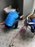 家庭维修上门服务 房屋漏水维修服务 瓷砖空鼓修复服务 维修尾款 家庭房屋修缮服务 尾款 实拍图