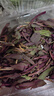 【春菜】苦菜150g 实拍图