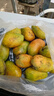 尔蝶海南小台农芒果10斤新鲜小台芒当季热带水果现摘甜心小芒果整箱 精选大果 单果90-120g-爆甜多汁 精选3斤装 净重2.8斤 实拍图