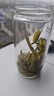 祁门红茶正宗茶叶高档父亲节礼盒独立小包装老厂房祁红香螺毛峰送长辈 老厂房祁红香螺160g 实拍图