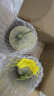 正宗网纹蜜瓜网纹蜜瓜软糯香甜新鲜水果冰糖蜜瓜网纹瓜 9斤 实拍图