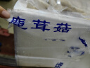 京鲜生 云南新鲜鹿茸菇2斤菌菇可食用蘑菇煲汤食材 源头直发 实拍图