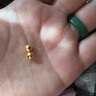 喜上眉梢足金999重工古法金珠散珠3D硬金光面磨砂黄金转运珠圣诞节礼物女 1.5g【5mm重工古法珠三颗】 实拍图
