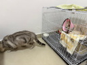 憨憨宠猫笼折叠猫笼子大号猫别墅加粗加密双层猫舍猫窝宠物猫咪用品家用 白色 700双层 实拍图