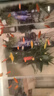 卡奇鱼 斑马鱼 淡水鱼 观赏鱼 小型观赏鱼 热带鱼 蝶翼斑马荧光好养易活 八色套餐C（图上每种各5条） 实拍图