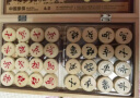 得力（deli）中国象棋套装折叠防水棋盘棋游儿童益智娱乐亲子生态原木开学礼物 实拍图