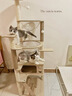 爱它美（AITAMEI） 魅宠 猫爬架猫窝猫树一体猫抓板大型太空舱通天柱猫架子猫咪别墅 梦幻喵仙堡MX-02(升级款) 实拍图