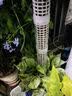 olevo水苔柱龟背竹热植专用白龟蔓绿绒可拼接新型植物攀爬柱支撑杆花架 水苔柱*2支 送连接环*1+地插*1支 【4.5X17cm】 实拍图