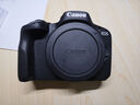 佳能 Canon EOS R RP R50 R6 R3 R5C R10 R7 R8 R6二代 R6三代 全画幅二手微单相机 直播相机 佳能EOS R50黑色 单机身 99成新 实拍图