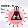 珑小宠鹦鹉保温灯加热灯鸟笼保暖器幼鸟过冬用品玄凤鹦鹉保温灯罩暖灯 100W陶瓷灯+灯罩 实拍图