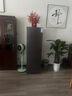 荣事达中型冰箱 风冷无霜直冷微霜一级能效 双门三门家用出租房宿舍 节能冷冻软冷冻中大容量冰箱冷柜 212升【双门+风冷无霜+一级能效】全国联保 实拍图