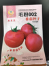 凤鸣雅世农家老品种大粉番茄种子四季阳台蔬菜籽孑毛粉802番茄种子100粒 实拍图