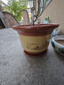 青意萱青意宣 落地紫砂陶瓷花盆红砂紫砂花盆 客厅花卉绿植粗砂花盆 口径32cm 按口径发货 实拍图
