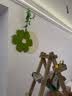 猫九酱奶油风餐厅装饰画北欧花卉饭厅挂画高级感绿植客厅餐桌背景墙壁画 实拍图