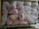 三萌果蔬丹东草莓【JD顺丰空运】99红颜奶油草莓多地次日达新鲜水果送礼 5斤家庭装净4.8斤【蕞划算-草莓自由】 A+级【特大果】单果25-30g 实拍图