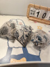 COODORA艾草中药驱蚊香包3个装防蚊香囊挂件卧室车载家用持久防虫神器 实拍图
