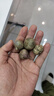志褚独头蒜大蒜头 2024云南大理紫皮独蒜 精品新鲜现挖湿蒜 1斤装【小果2.2-2.5cm】 实拍图