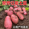 【真便宜】云南红皮土豆高原黄心土豆云南土豆新鲜红皮黄心洋芋 9斤大果【单果150g+】 实拍图