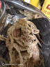 北海印象烧烤鱿鱼干淡干不咸KTV酒吧专用手撕干鱿鱼家用芥末尤鱼干货250g A3L鱿鱼干 250g*1袋 约11条 实拍图