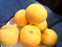 黄桃新鲜水果时令应当季整箱桃子大果黄金蜜蒙阴蜜桃脆桃包邮无毛 三斤【净重2.5斤】 臻选装【单果175g+】 实拍图