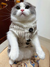 卫仕猫咪综合营养套装 猫多维100g*1+猫力肠100g*1+猫氨100g*1+猫牛100g*1+猫微量100g*1  实拍图