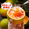 秭橙贡【京东快递】现摘现发正宗秭归九月红果冻橙子新鲜手剥当季水果 中果(65mm左右) 整箱10斤净果9斤 实拍图