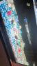SUNSUN森森鱼缸水族箱加热棒100W自动恒温乌龟缸鱼缸加温棒加热器 实拍图