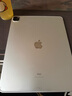 Apple苹果平板电脑 ipadPro2020/2021 11寸12.9寸 2代 四代 二手平板电脑 20款iPad Pro 12.9寸 插卡版 256G WIFI版 99成新 实拍图