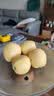 礼多果甘肃天水花牛苹果2025新鲜红蛇果老人小孩粉面水果 需要放粉 带箱5斤 中果70mm起 实拍图