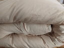 京东京造Duvet D'oie杜唯朵95鹅绒被西伯利亚进口羽绒被冬季1000g 2*2.3米 实拍图