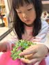 IAM City Farmer牵牛花罐头盆栽绿植花卉种植罐头种子diy盆栽开学季种植作业10068 实拍图