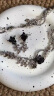 LNERATO露娜依蕾托神坛系列异龙骨黑茉莉耳环轻奢耳钉高级感耳饰 枪黑色 58 实拍图