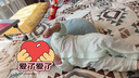 优奇婴儿衣服夏季薄款纯棉连体衣新生幼儿睡衣宝宝纱布哈衣夏装空调服 夏款【闭档】水绿 66cm 实拍图