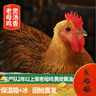 南山秋色固始鸡农家散养土鸡新鲜整只走地笨鸡红烧炖汤食材 2年黄油老母鸡3斤以上 实拍图