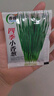 春蝶蔬菜种子四季播盆栽阳台庭院黄瓜豆角番茄甜瓜易种籽孑大全 四季小香葱【原装1包 约800粒】 一包(试种贵在快递费) 实拍图