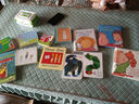 I Am a Bunny 我是一只兔子 richard scarry 英文原版儿童绘本 早教启蒙纸板书 金色斯凯瑞童书 感受四季变化 少儿早教英语绘本 小兔子 绿山墙 实拍图