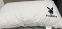 花花公子（PLAYBOY）A类纯棉枕头枕芯高弹星级酒店枕颈椎枕成人睡觉专用单只装 实拍图