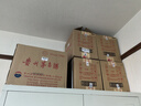 五粮液 第八代普五 2020年 浓香型白酒 52度 500mL*6瓶 整箱装 陈年老酒 【原厂原箱】 实拍图