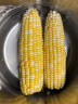 京鲜生云南水果玉米5斤 鲜甜玉米棒 甜脆多汁 新鲜蔬菜 源头直发包邮 实拍图