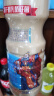 好益多经典原味乳酸菌饮料大瓶酸奶饮品宴会聚餐年货1250ml*6瓶 实拍图
